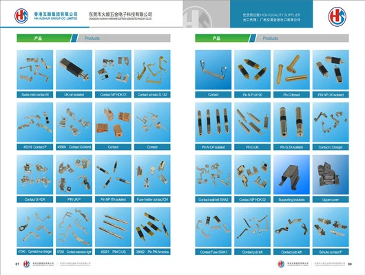 Stamping Manufacturer Spring Contact for Socket (HS-BC-004)